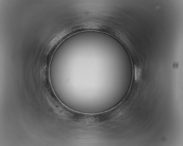 X0000111660675200907171610