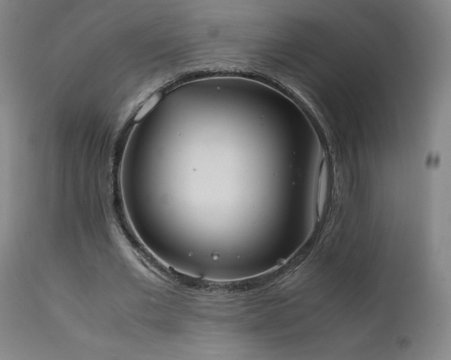 X0000111660677200907171610