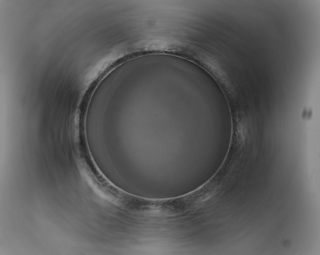 X0000111660678200907171610