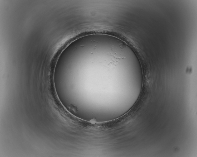 X0000111660679200907171610
