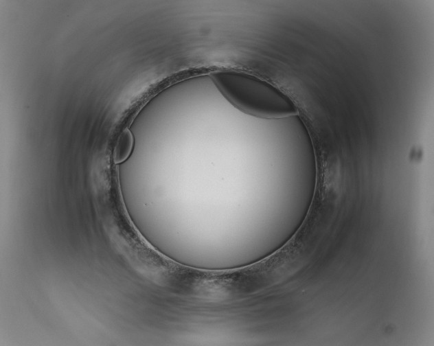 X0000111660680200907171610