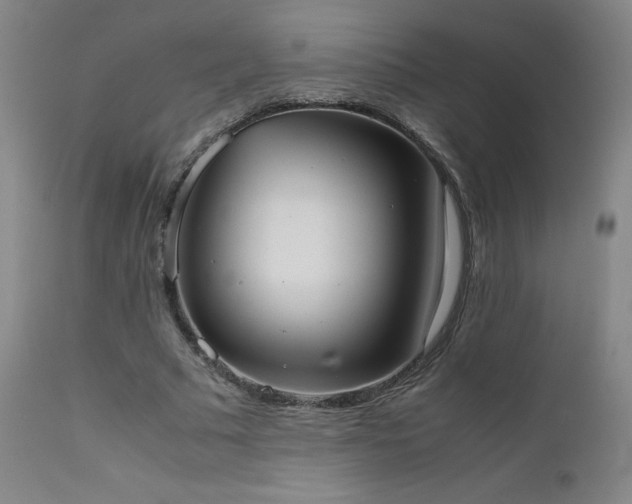 X0000111660681200907171610