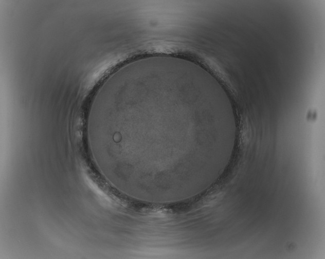 X0000111660683200907171610