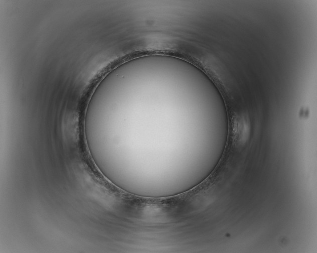 X0000111660684200907171610
