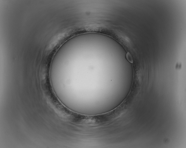 X0000111660687200907171610