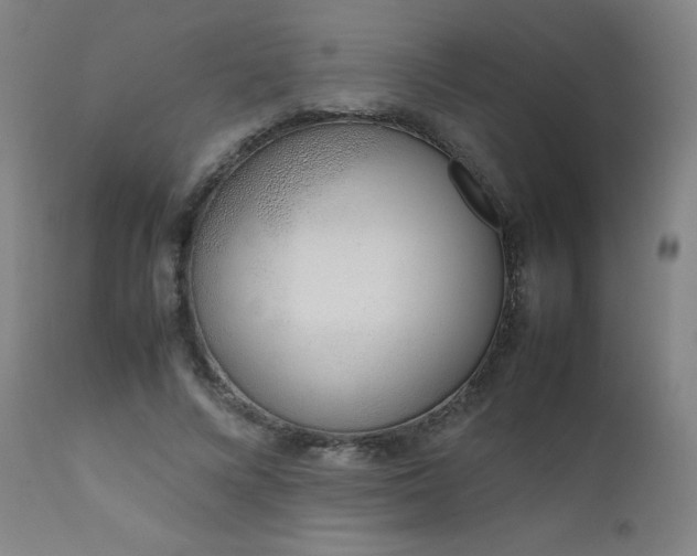 X0000111660688200907171610