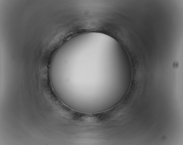 X0000111660689200907171610
