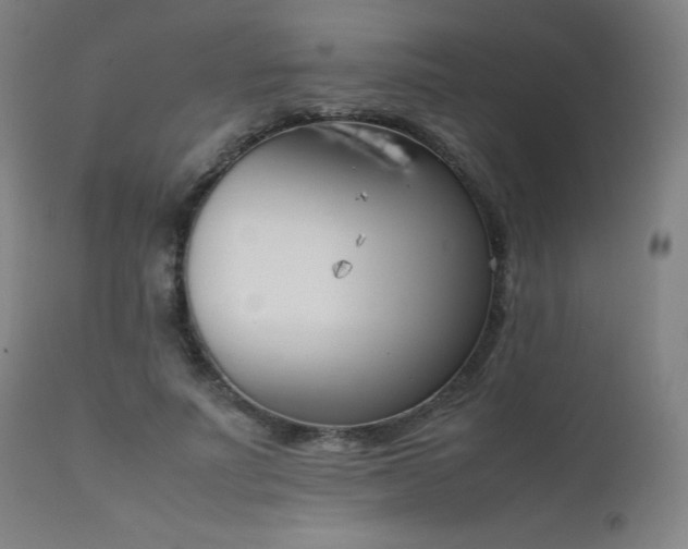 X0000111660691200907171610