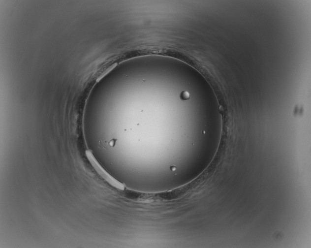 X0000111660693200907171610