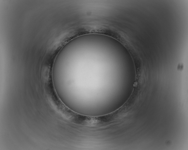 X0000111660695200907171610