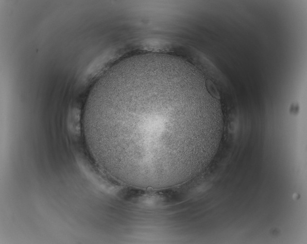 X0000111660696200907171610