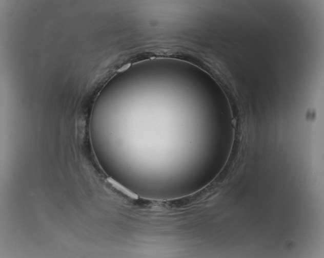 X0000111660697200907171610