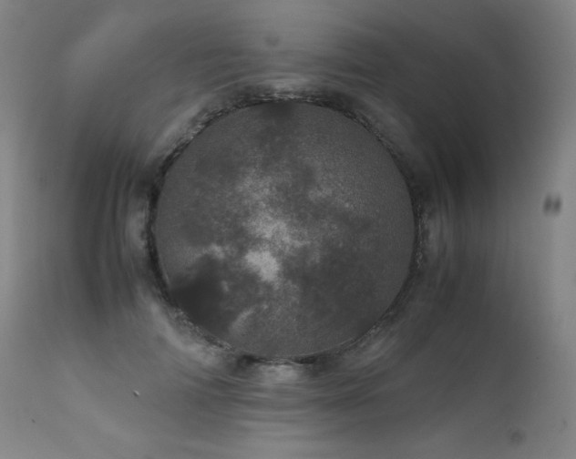 X0000111660698200907171610