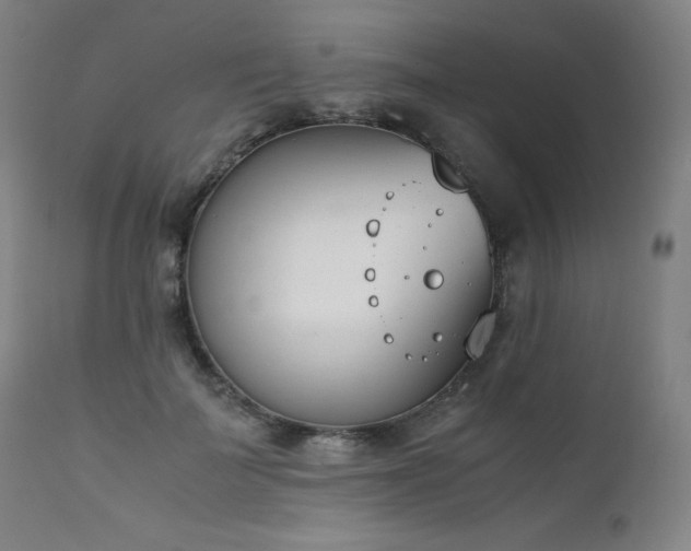 X0000111660699200907171610