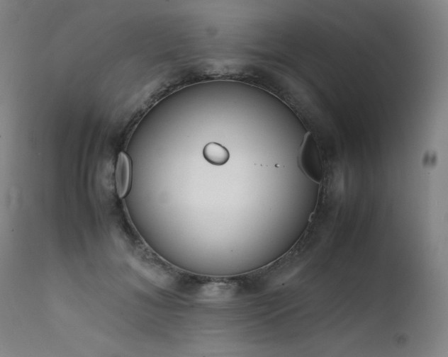 X0000111660700200907171610