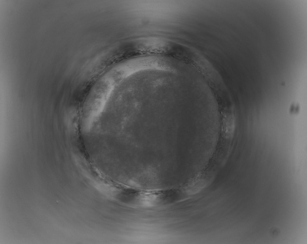 X0000111660701200907171610
