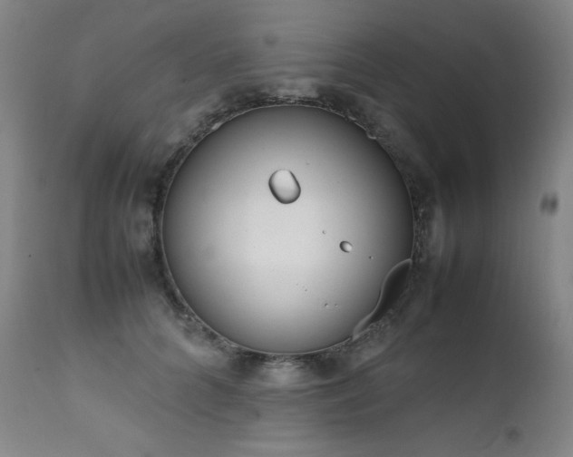X0000111660704200907171609