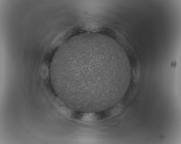 X0000111660705200907171609