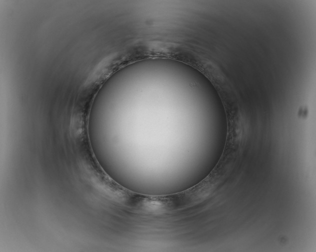 X0000111660706200907171609