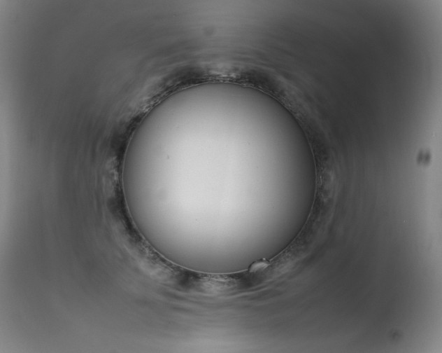 X0000111660707200907171609