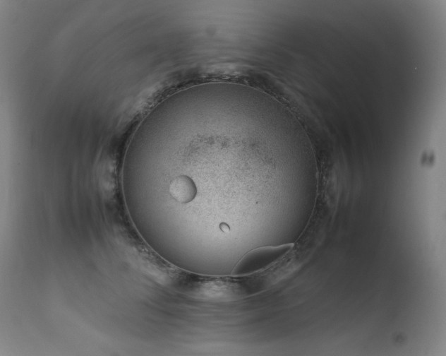 X0000111660708200907171609