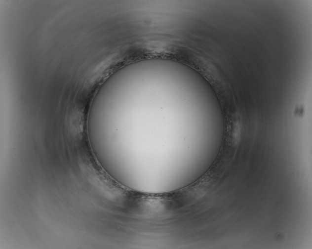 X0000111660710200907171609