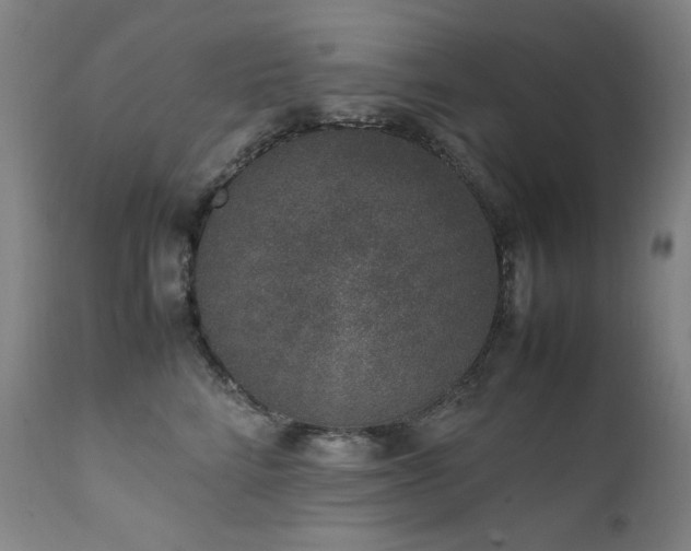 X0000111660712200907171609