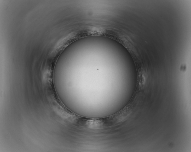 X0000111660714200907171609