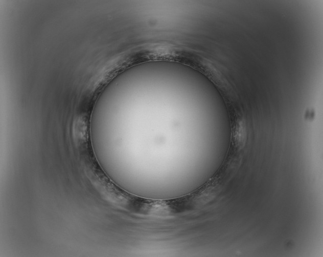 X0000111660715200907171609
