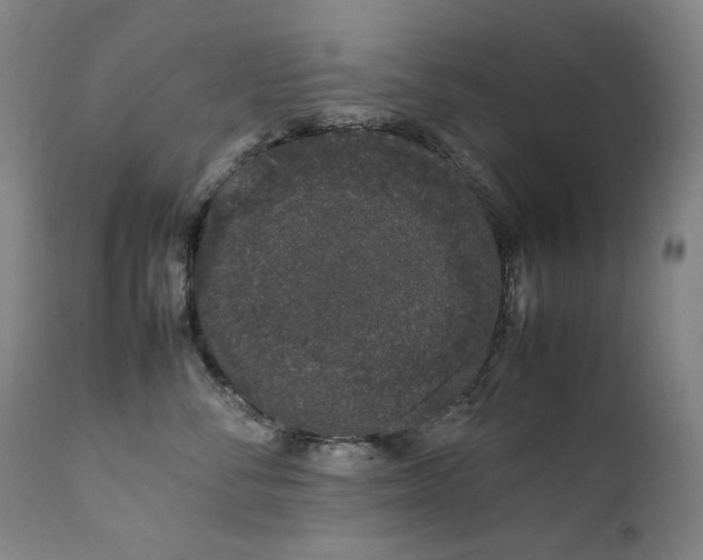 X0000111660716200907171609