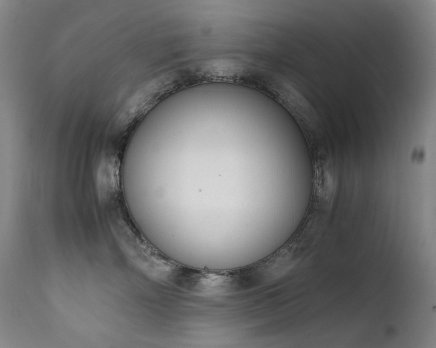 X0000111660718200907171609