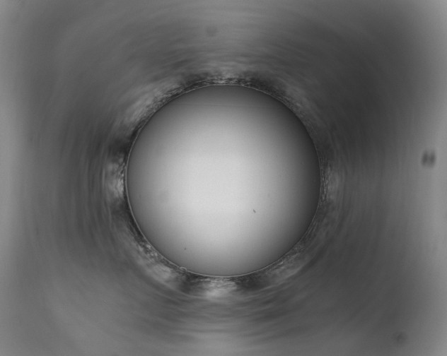 X0000111660719200907171609