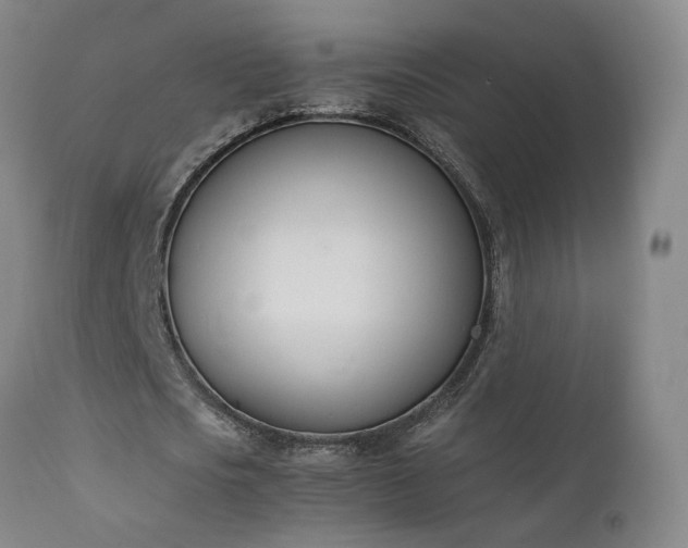 X0000111660721200907171609