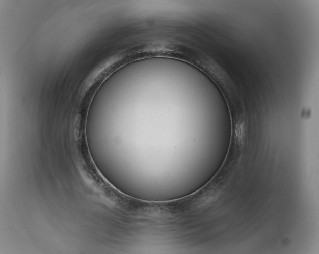 X0000111660724200907171609