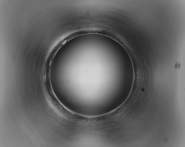 X0000111660726200907171609