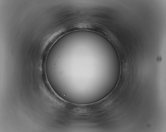 X0000111660727200907171609