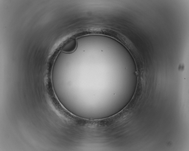 X0000111660728200907171609