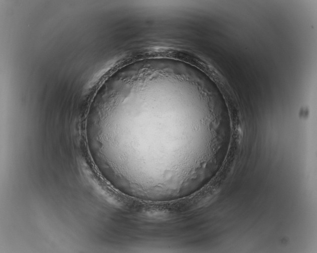 X0000111660729200907171609