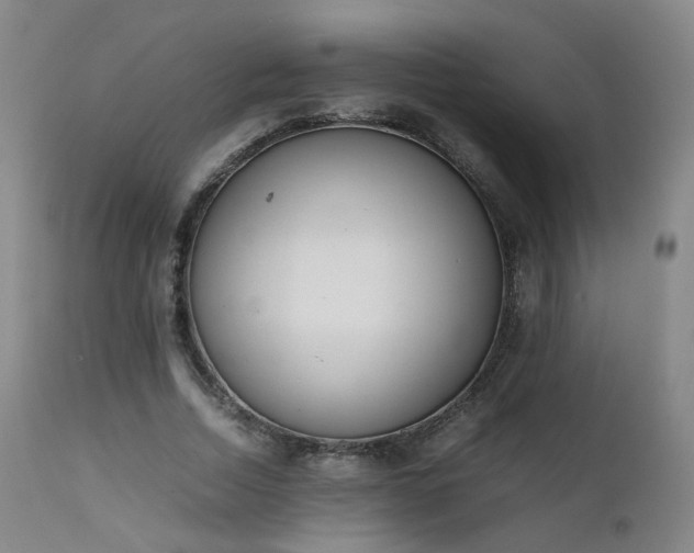 X0000111660730200907171609
