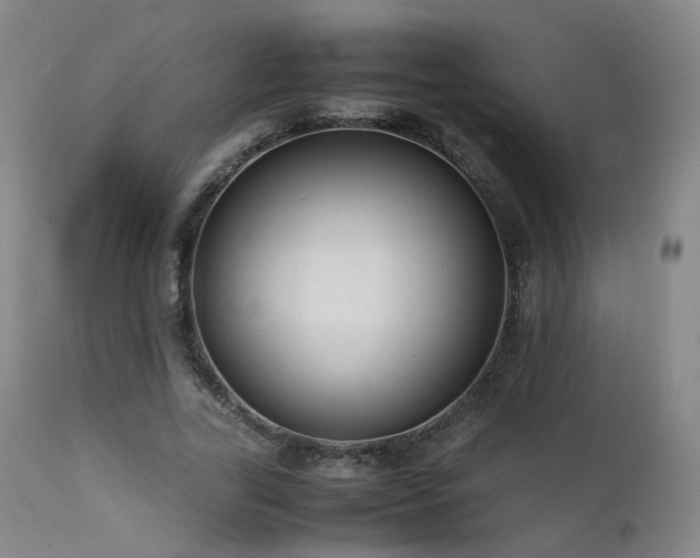 X0000111660731200907171609