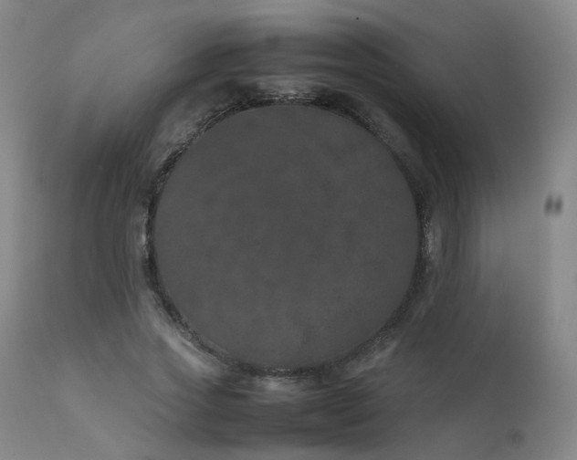 X0000111660733200907171609