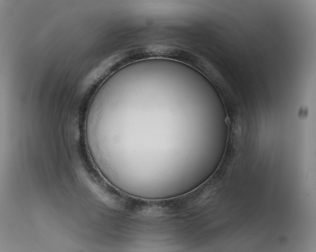 X0000111660734200907171609