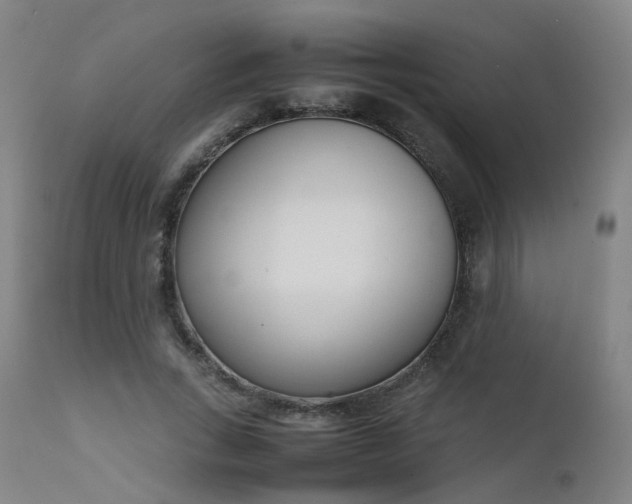 X0000111660735200907171609