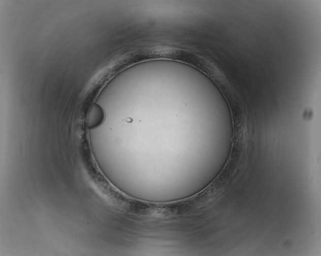 X0000111660736200907171609