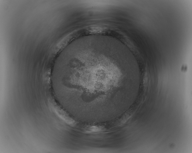 X0000111660737200907171609