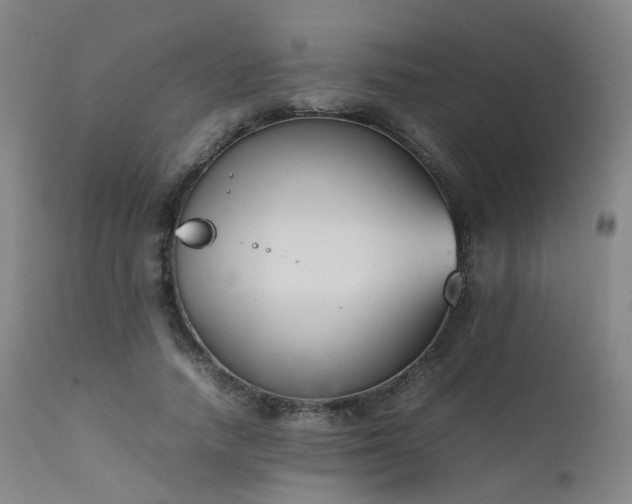 X0000111660738200907171609