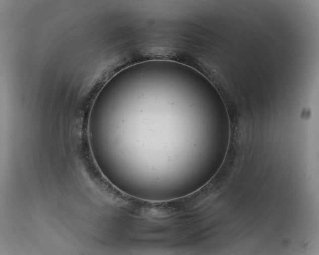 X0000111660739200907171609