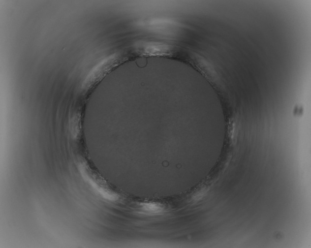 X0000111660741200907171609