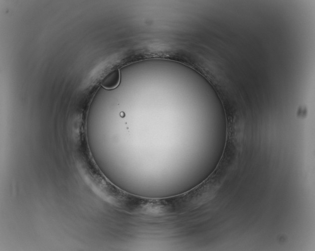 X0000111660742200907171609