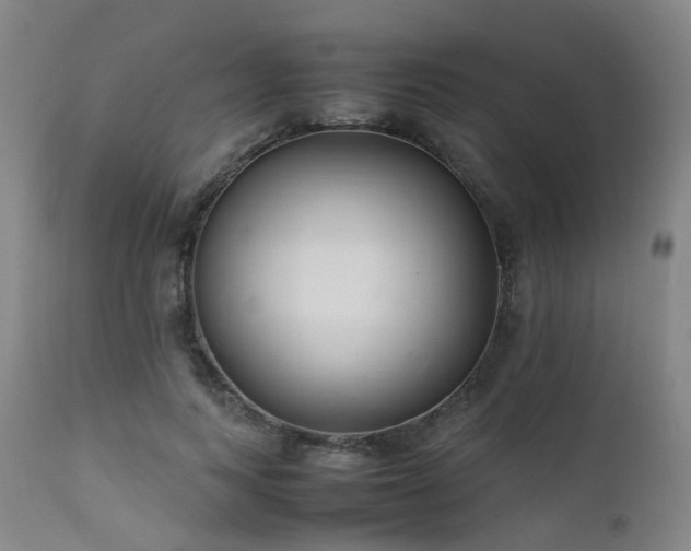 X0000111660743200907171609